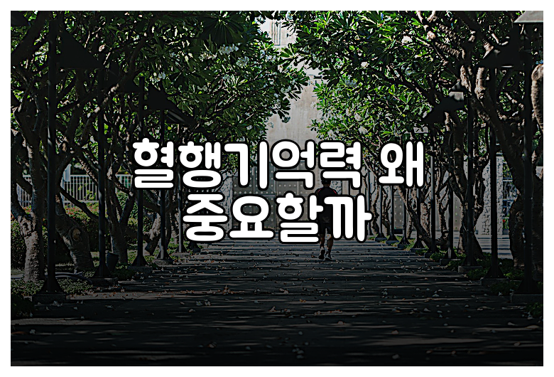 혈행기억력 왜 중요할까