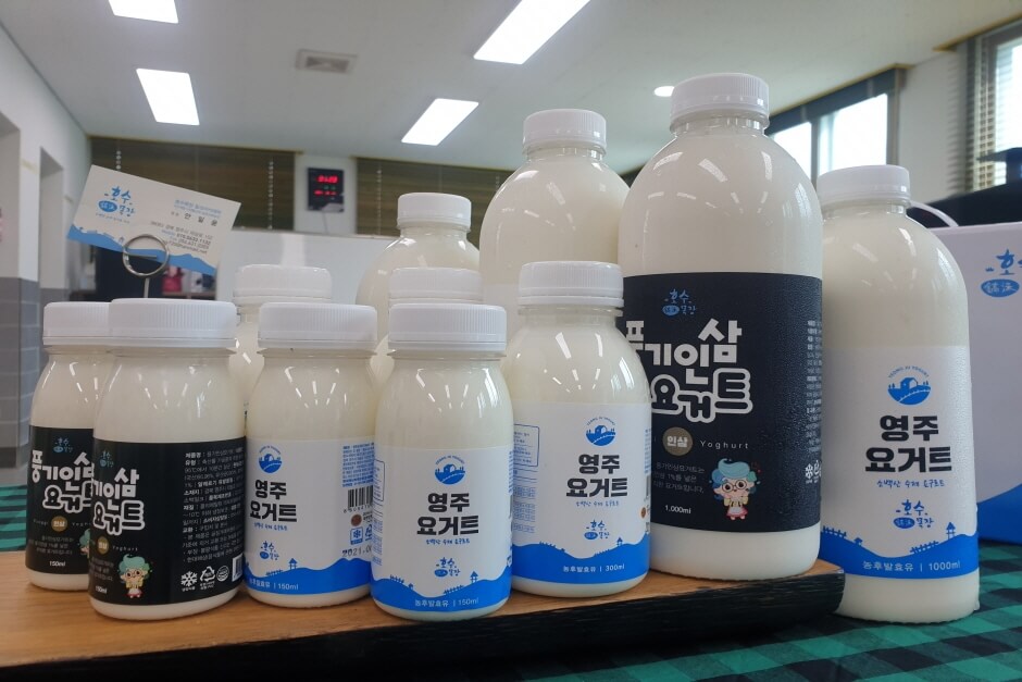 영주 가볼만한곳 베스트 10