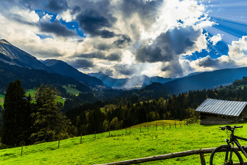 스레드 사용법 완벽한 초보자 가이드 관련사진
