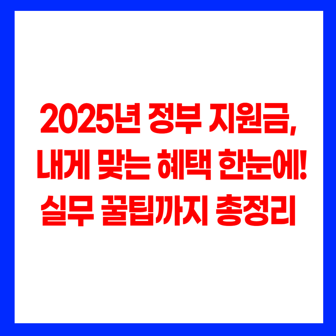 2025년 정부 지원금 종류별 신청 방법과 실무 꿀팁 안내