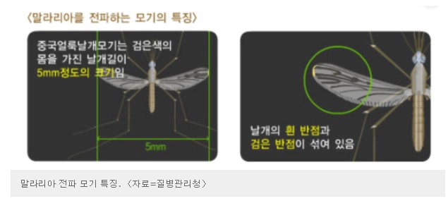 김포 말라리아 경보 발령 소식