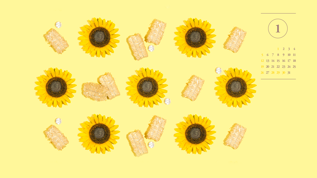 05 7개의 해바라기 A - 2025년1월 노트북배경화면