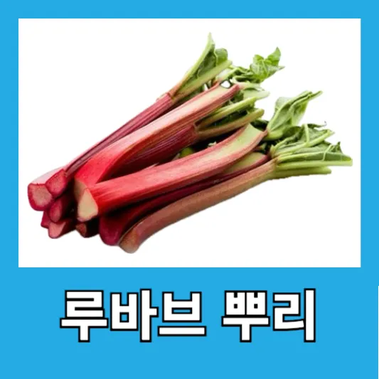 루바필 주성분, 루바브뿌리추출물