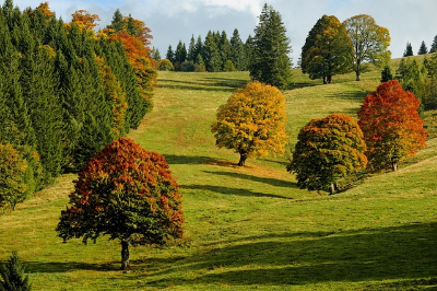 화담숲-예약방법-3분 완벽-가이드