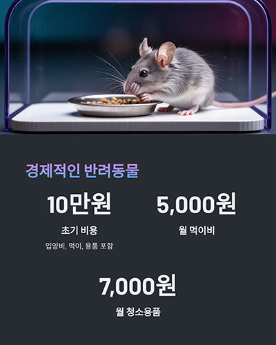 적은 비용으로도 충분한 만족감
