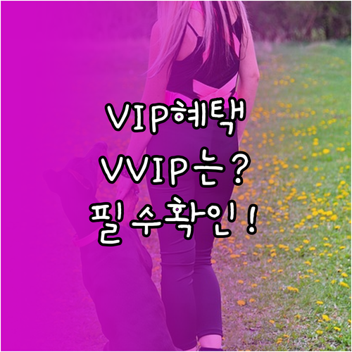 유플러스 장기고객 VIP VVIP 등..