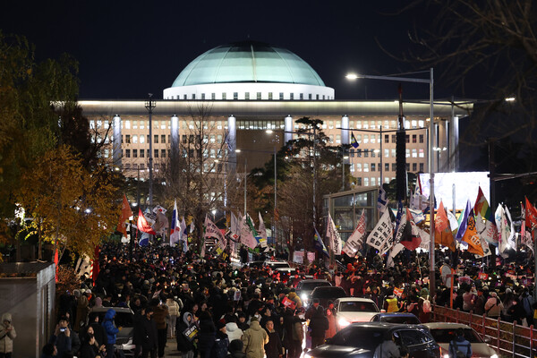 비상계엄령 관련 정치 테마주 주식