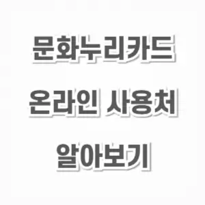 문화누리카드-온라인 사용처