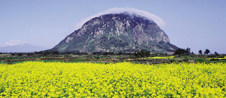 제주 성산항 우도 배시간표