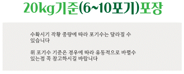 2024 롯데마트 김장 절임배추 사전예약 가격 방법