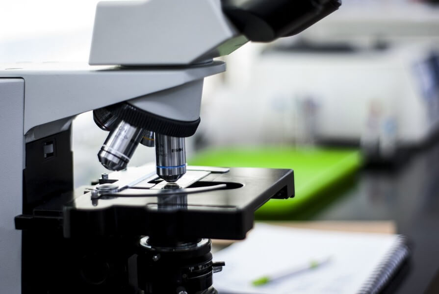 실험실에서 연구 중인 모습