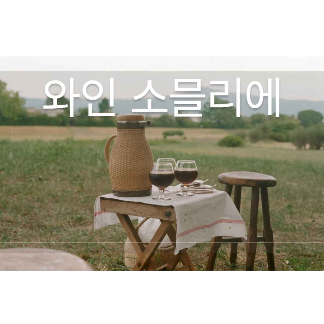 와인 소믈리에 되는 법 관련사진