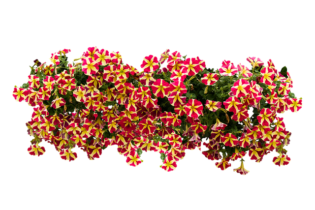 베란다 공간을 효율적으로 사용하는 법