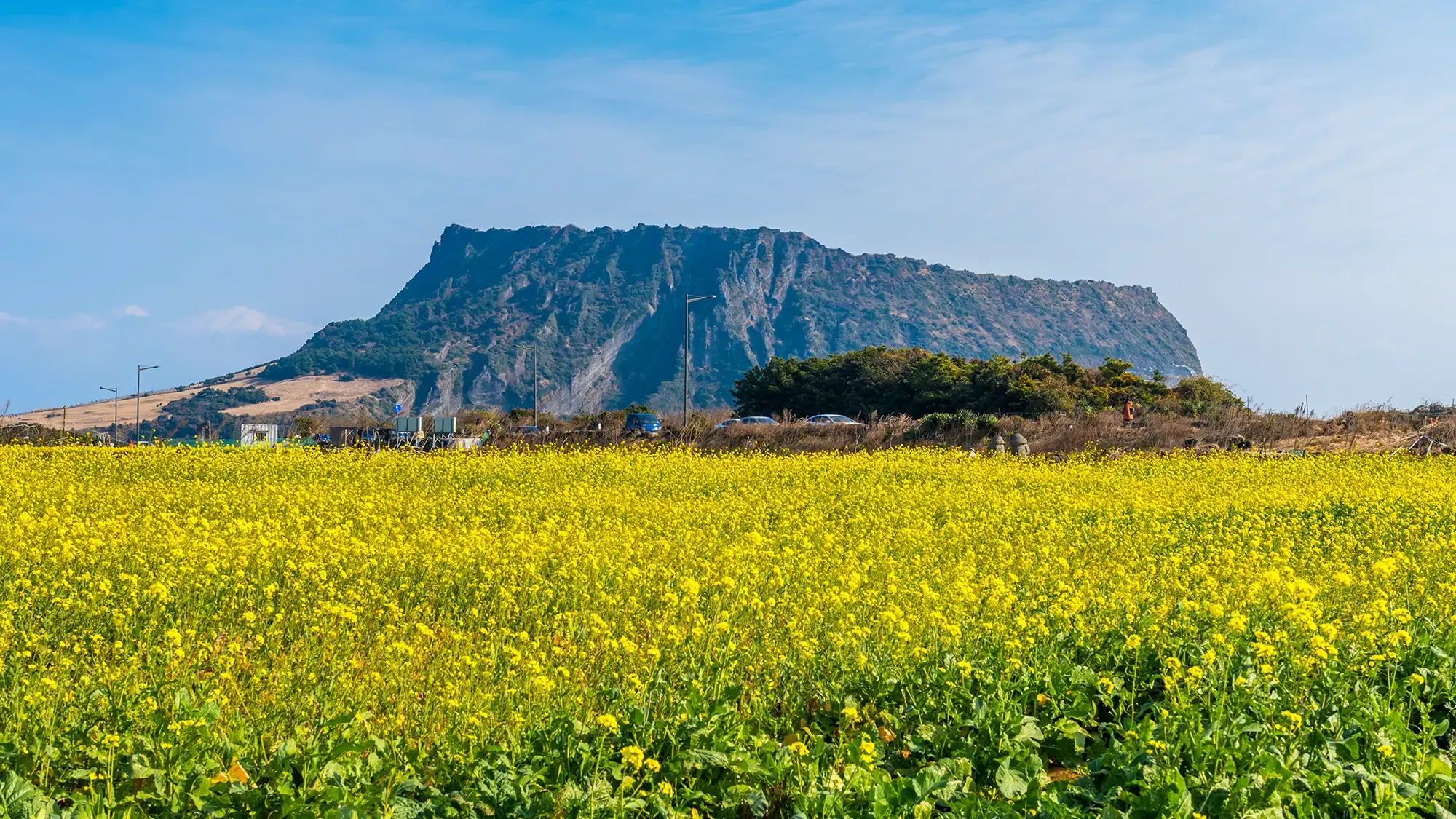 제주도 가볼만한곳 10곳 여행지 모음_6