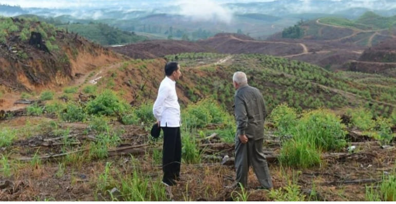 인도네시아 신수도 건설 올해부터 본격화...한국도 참여 기대 VIDEO: Indonesia set to begin construction on new capital this year
