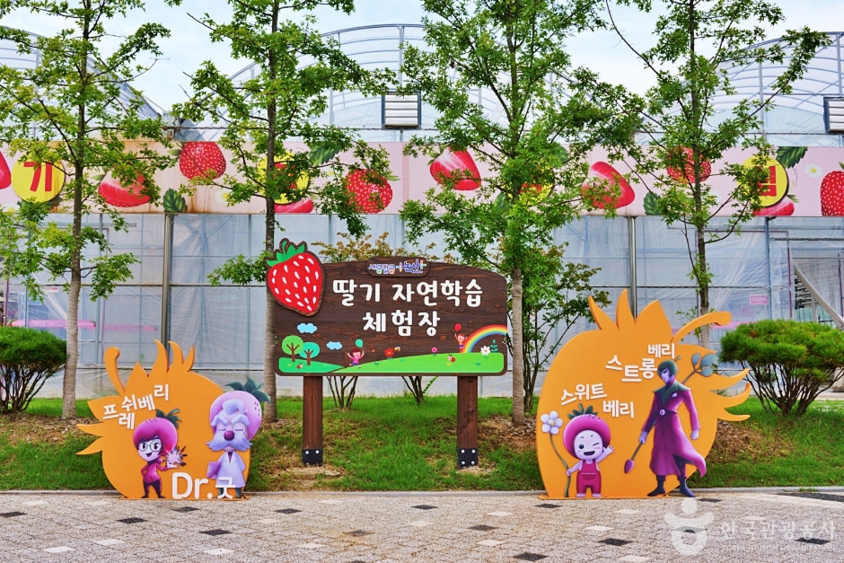 논산 가볼만한곳 베스트10