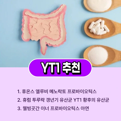 갱년기 유산균 YT1 추천