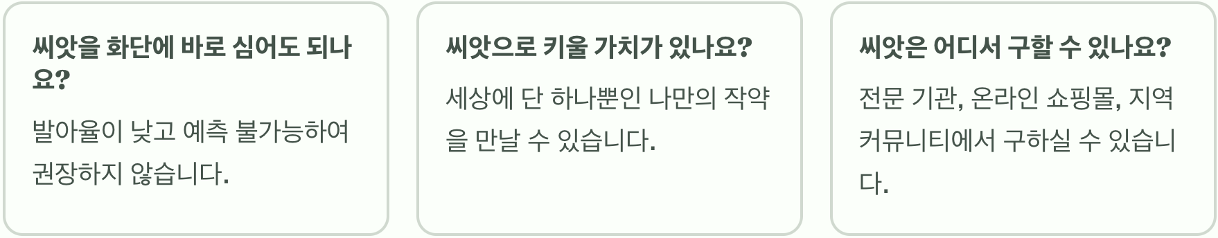 작약꽃 씨앗부터 키우기, 성공하는 꿀팁 대방출