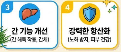 부추 효능