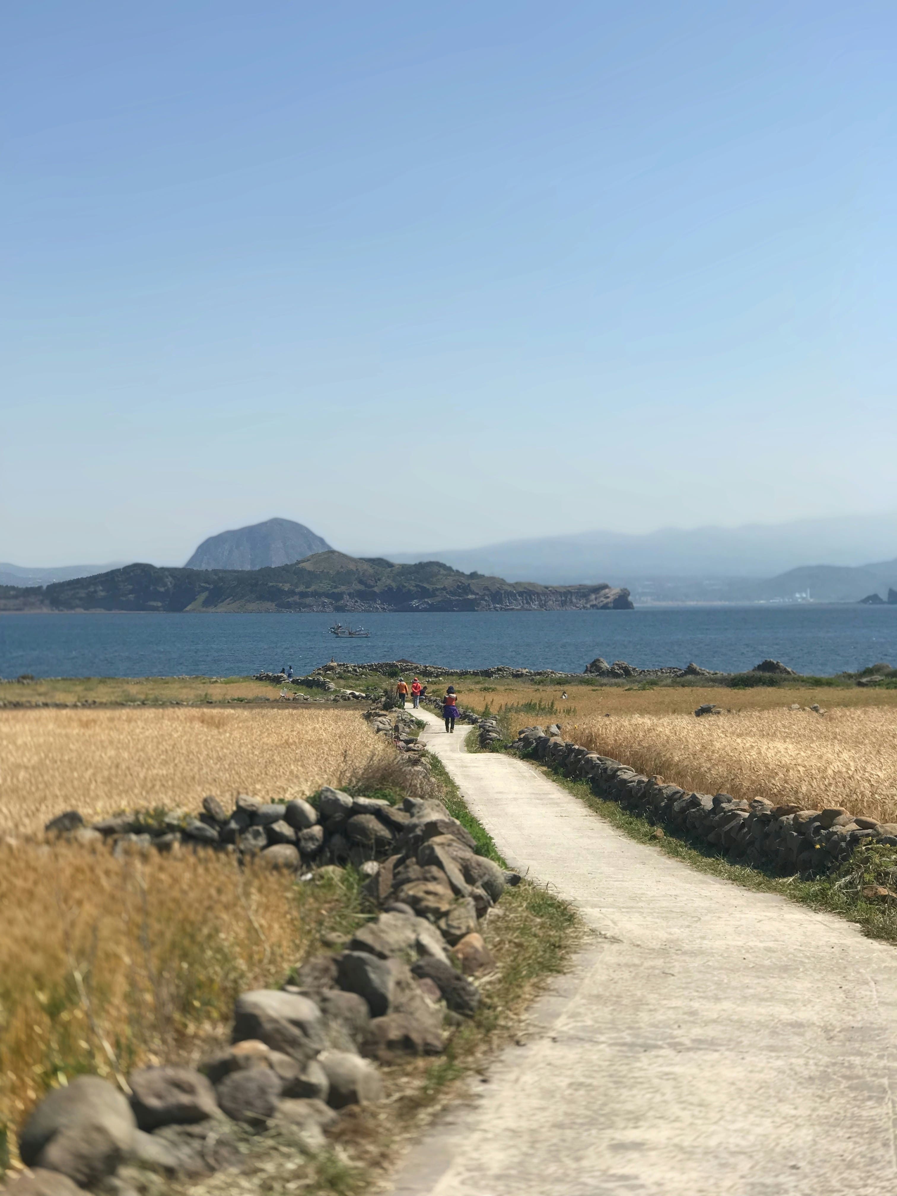 제주도 섬 여행 총정리 (우도&middot;마라도&middot;가파도&middot;비양도 가는 방법)