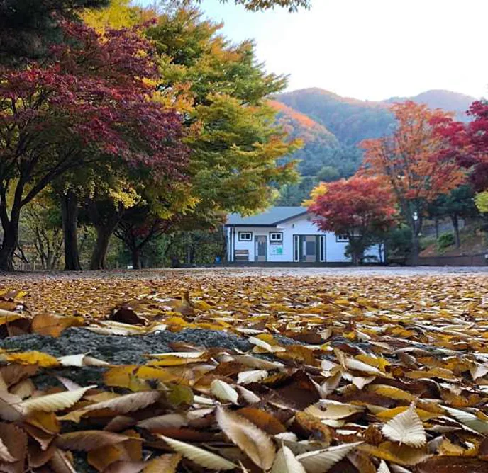 수산아카데미캠핑장