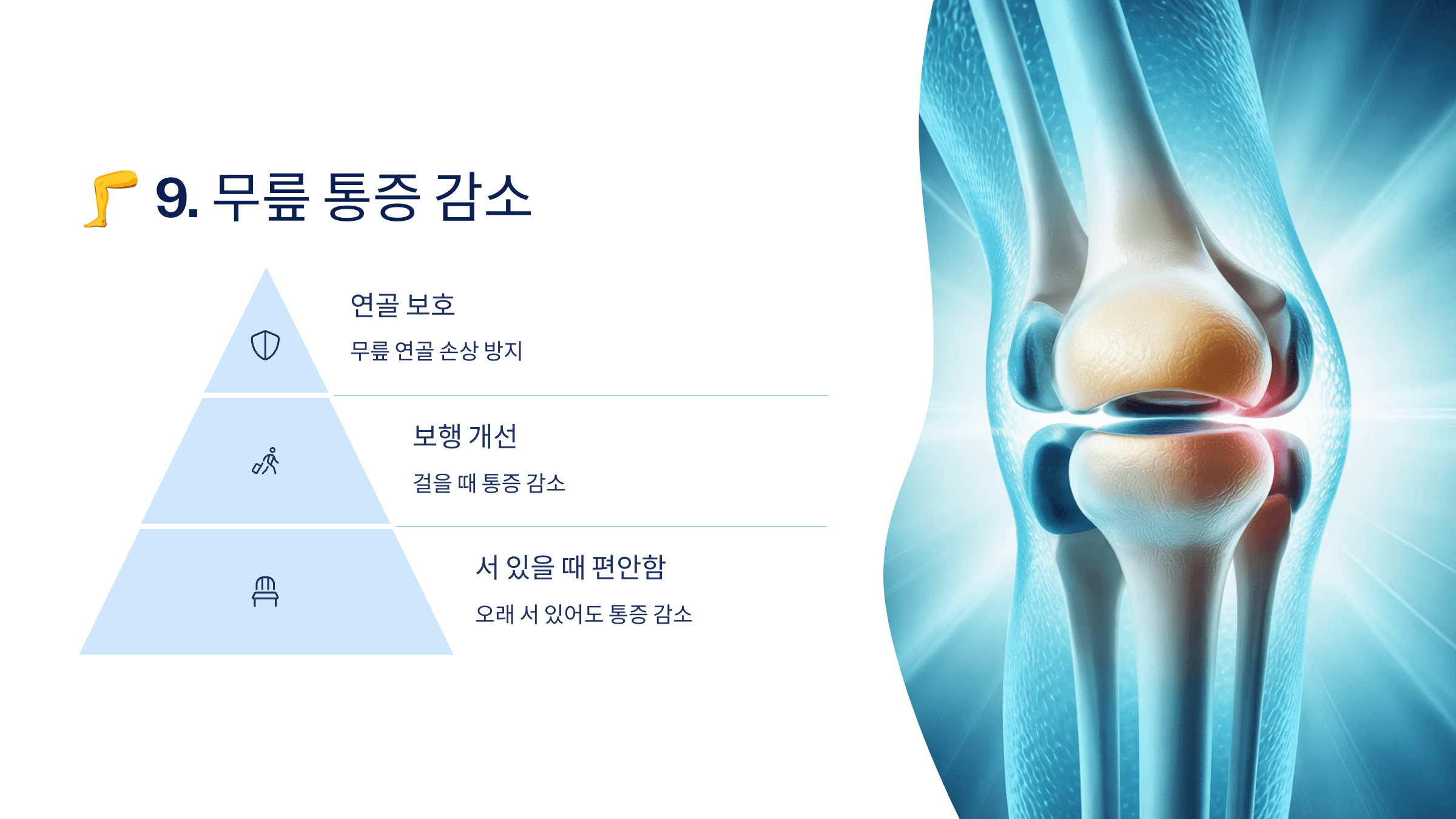 콘드로이친과 관련된 사진입니다.