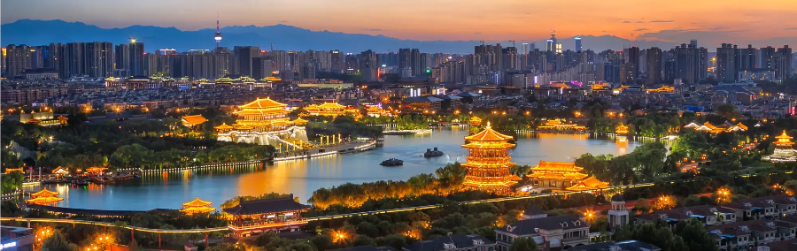 자유여행 vs 패키지 여행