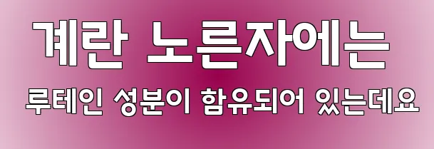  계란 노른자에는 루테인 성분이 함유되어 있는데요