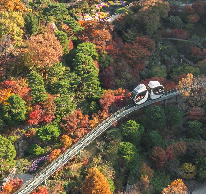 2025년 화담숲 예약방법과 이용팁 총정리