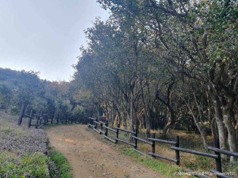 광양 가볼만한곳 베스트10