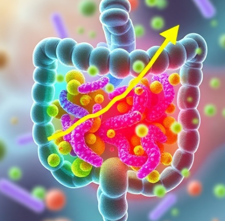 저아밀로스-쌀-효능-혈당관리-영양-천혜진선향미