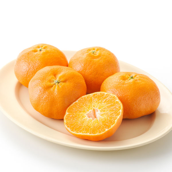 레드향은 일본에서 개발된 고당도 만감류 감귤 품종