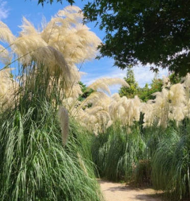 태안 청산수목원 여행지