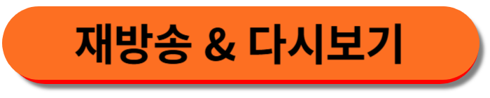 재방송, 다시보기 바로가기