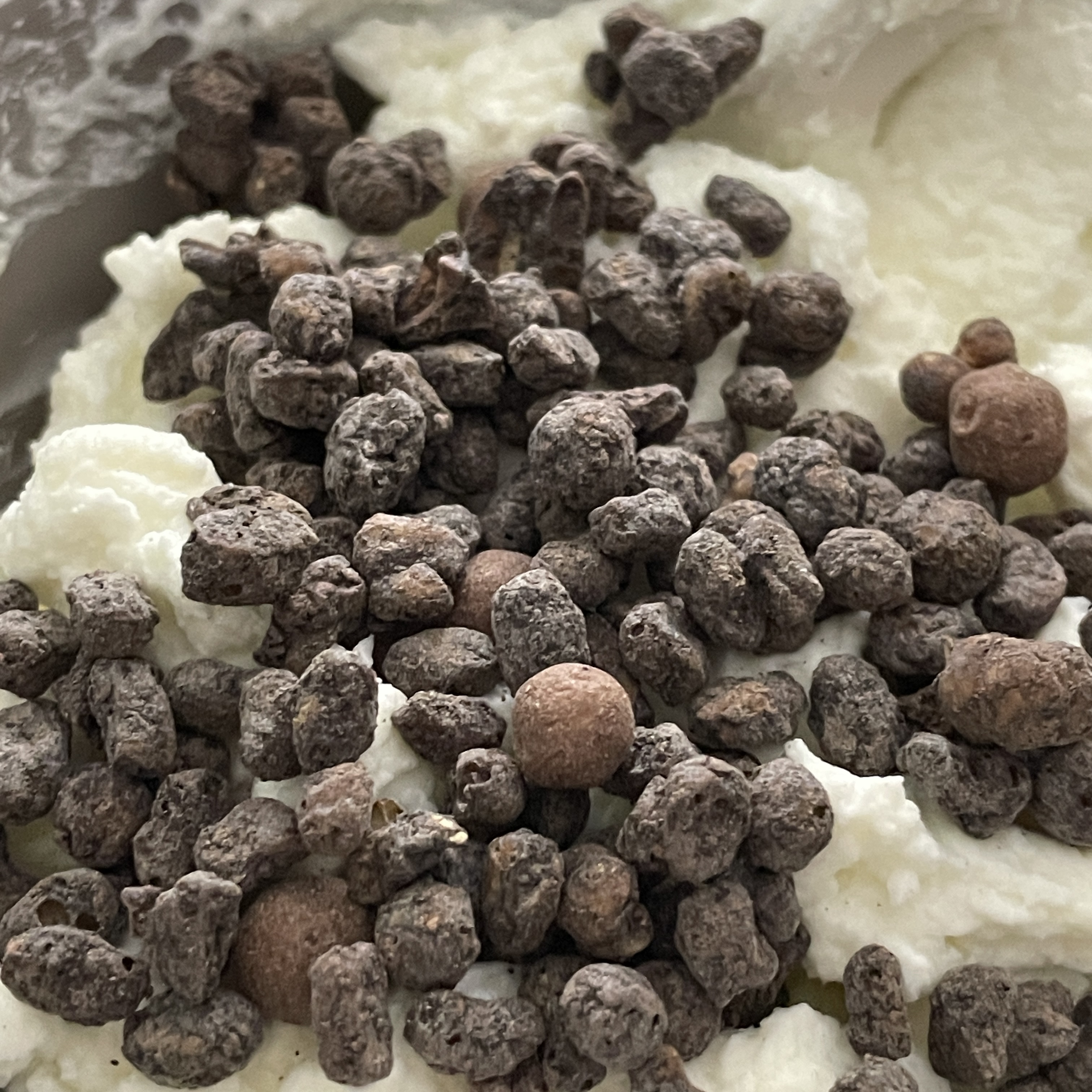 그릭요거트에 뿌려진 로슈어