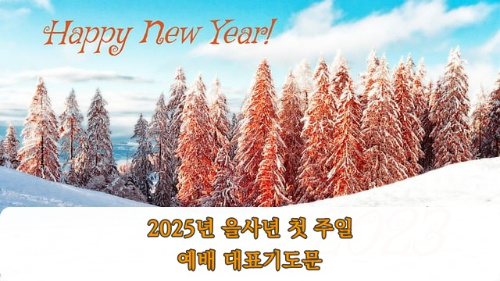 2025년 을사년 첫 주일 예배 대표기도문