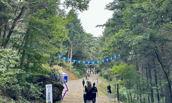 광릉숲-축제