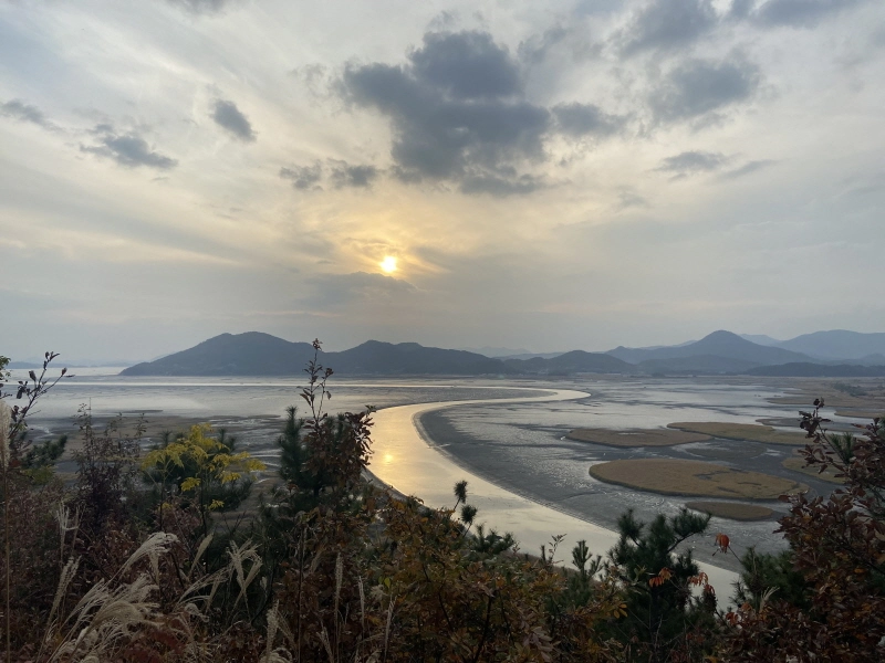 순천만습지 용산전망대