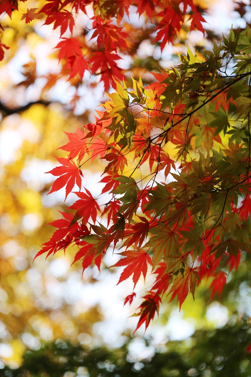 광주 여름 나들이 명소 추천: 여름여행지로 딱 좋은 곳들