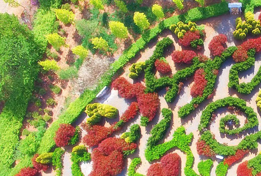 청산수목원 테마 정원으로 떠나는 태안 여행 