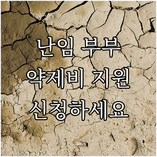 2025 천안 난임 부부 주목! 보조..