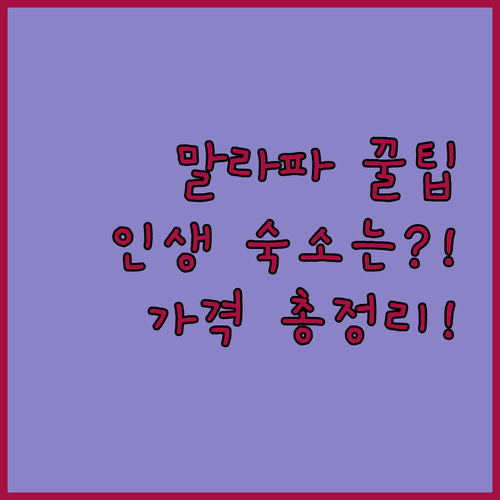 말라파스쿠아 다이빙 휴양 인생 숙소 ..