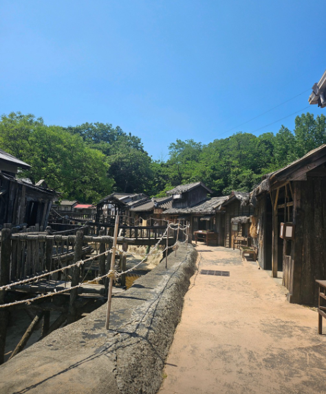 [6시 내고향] 순천만습지&amp;#44; 순천만국가정원&amp;#44; 순천드라마촬영장&amp;#44; 순천향매실마을 정보