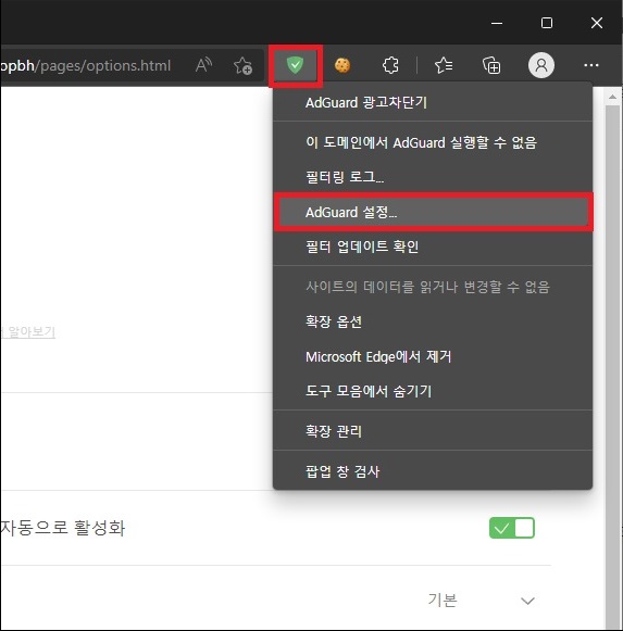 확장 프로그램 설정