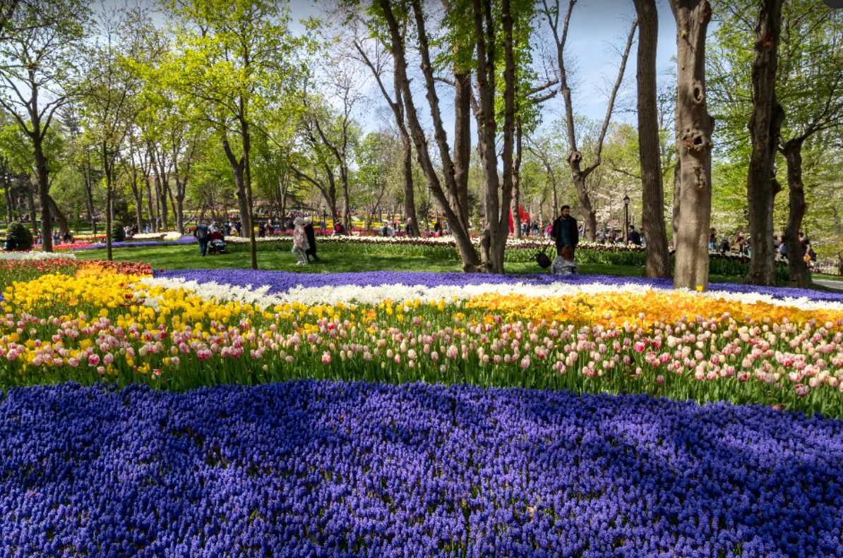 세계봄꽃여행지