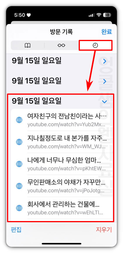 사파리 방문 기록