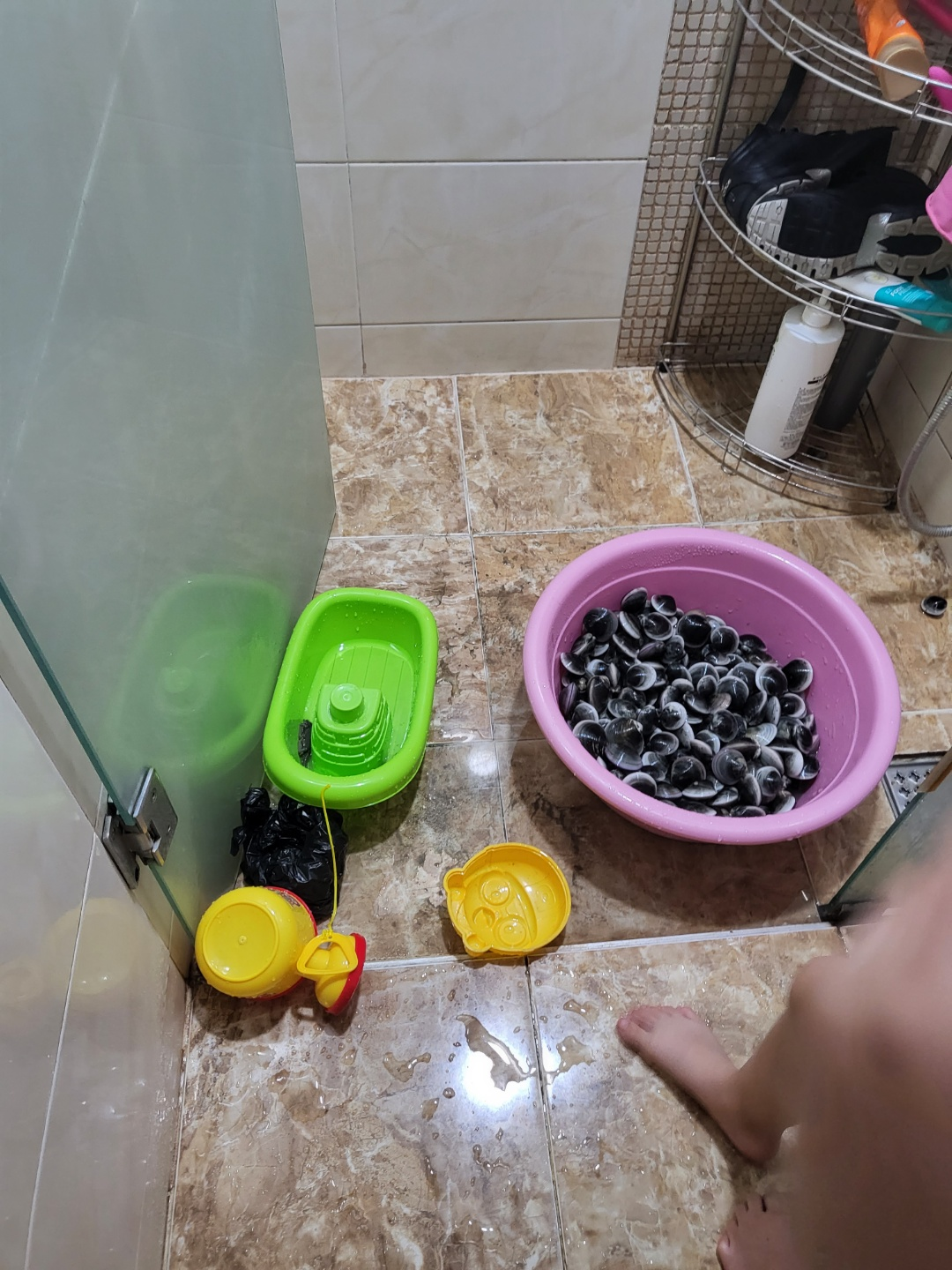 서천 갯벌체험&amp;#44; 모시조개 캐기 (서천송림갯벌체험장)