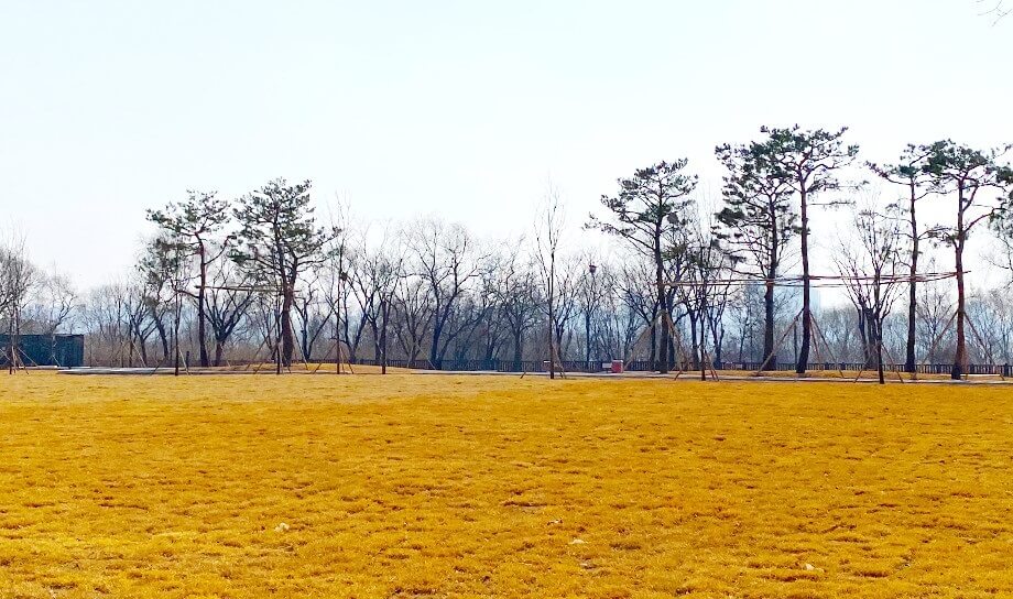 한강 난지캠핑장 일반 캠핑존