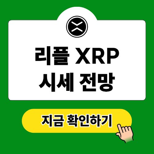 리플 XRP 시세 코인 전망