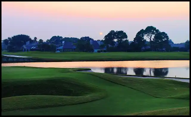 파크골프 용어 정리 (+ 해설 )